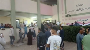 القبض على مسؤولة جمعية خيرية في المحلة بتهمة جمع بطاقات ناخبين خلال انتخابات المرحلة الثانية